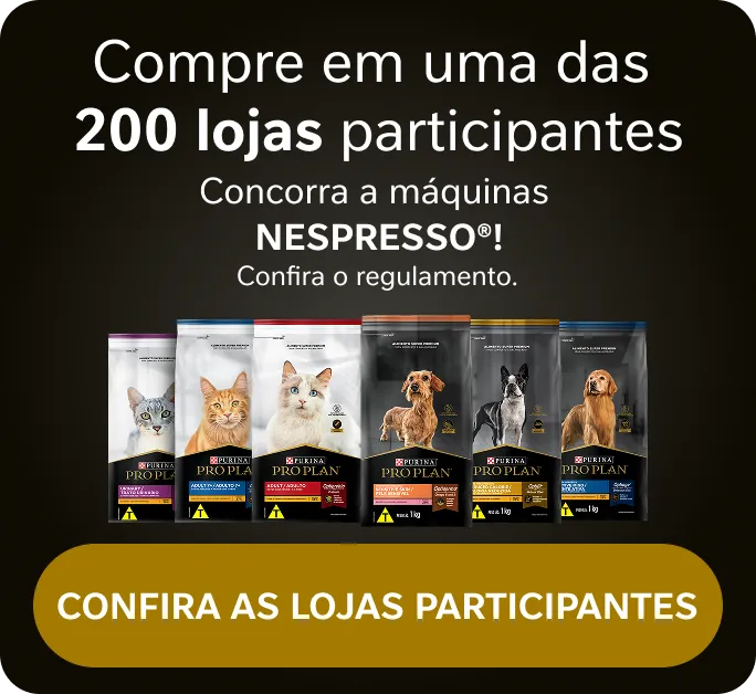 Imagem de divulgação